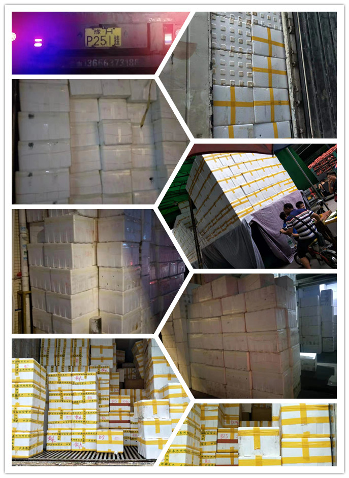 首页-PA真人集团有限公司官网