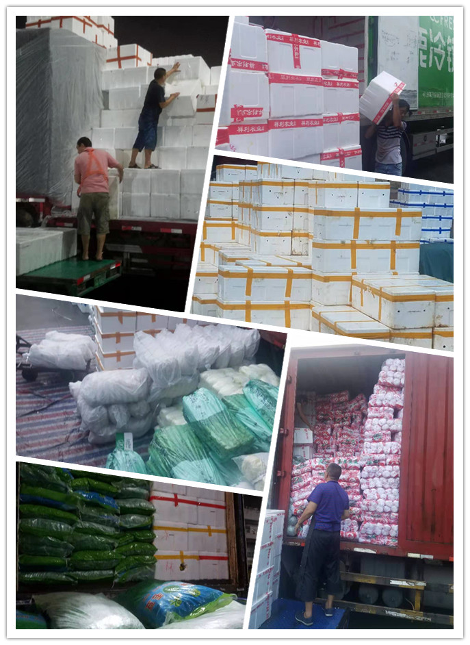 首页-PA真人集团有限公司官网