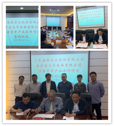 首页-PA真人集团有限公司官网