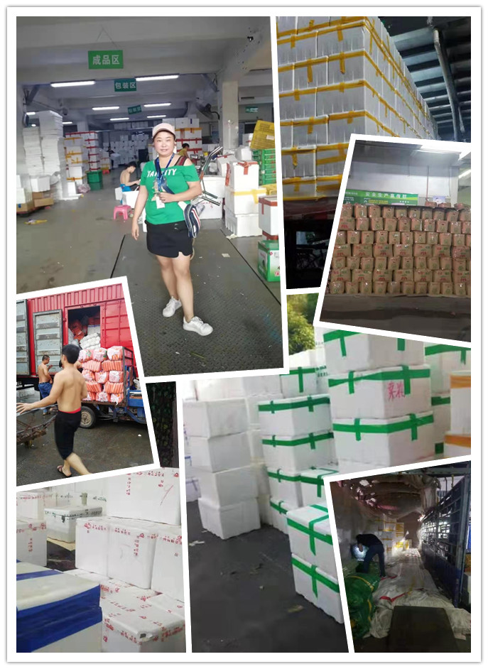 首页-PA真人集团有限公司官网