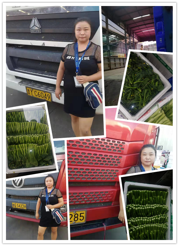 首页-PA真人集团有限公司官网