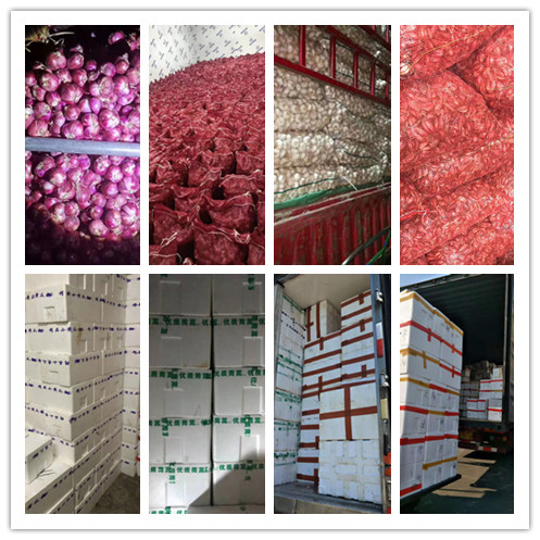 首页-PA真人集团有限公司官网