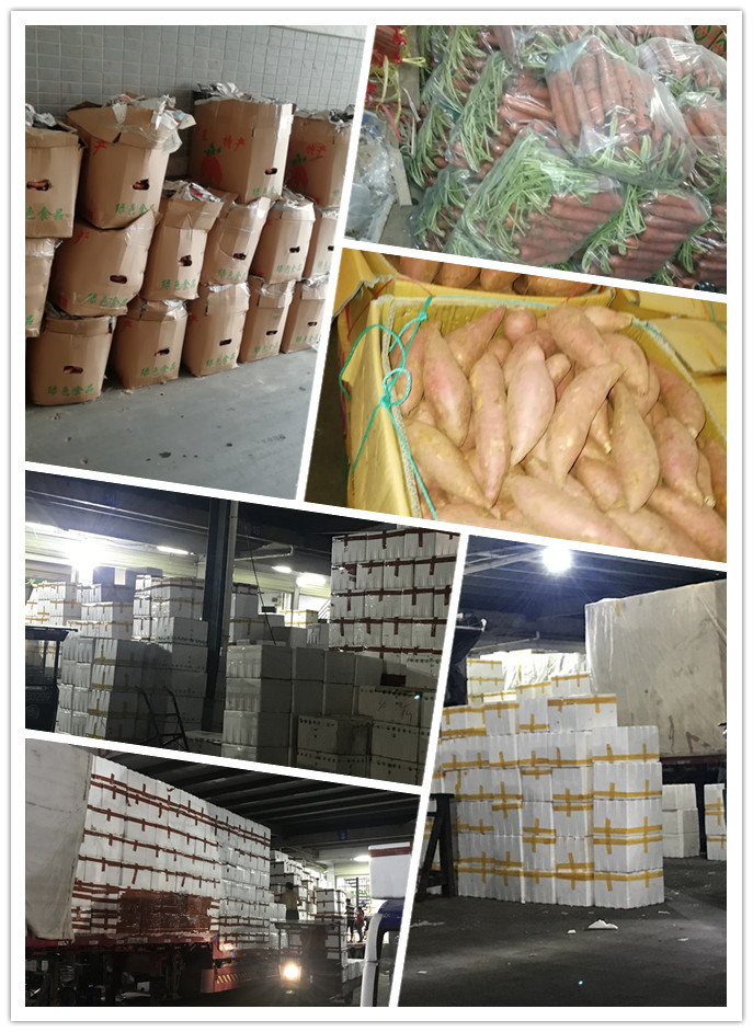 首页-PA真人集团有限公司官网