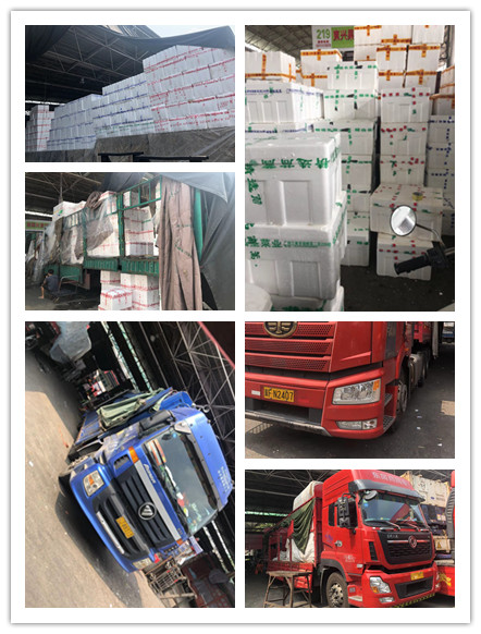 首页-PA真人集团有限公司官网