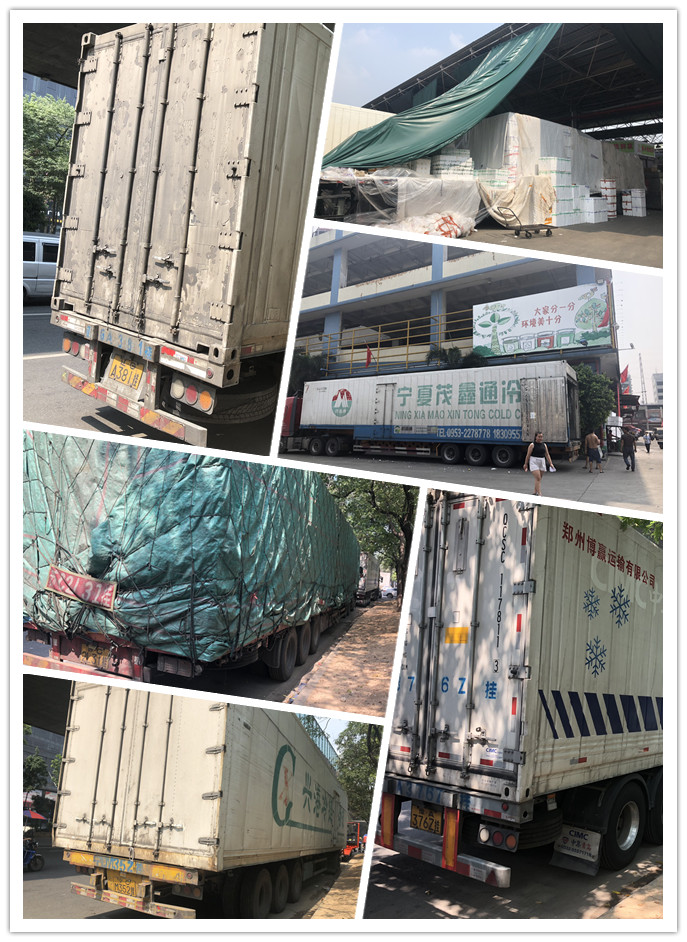 首页-PA真人集团有限公司官网