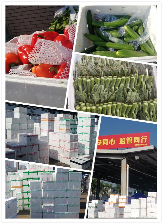 首页-PA真人集团有限公司官网