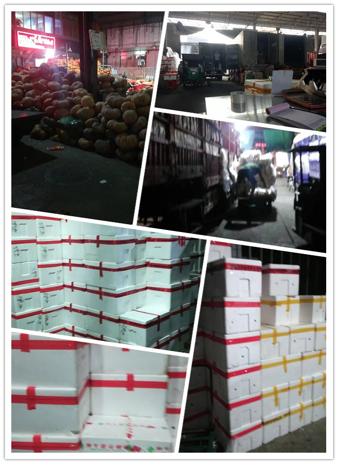 首页-PA真人集团有限公司官网