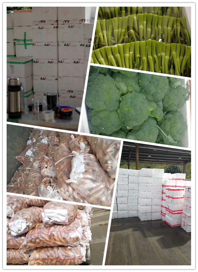 首页-PA真人集团有限公司官网