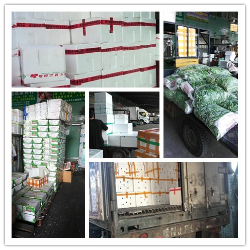 首页-PA真人集团有限公司官网