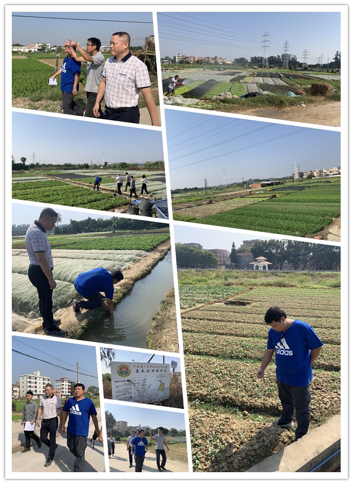 首页-PA真人集团有限公司官网