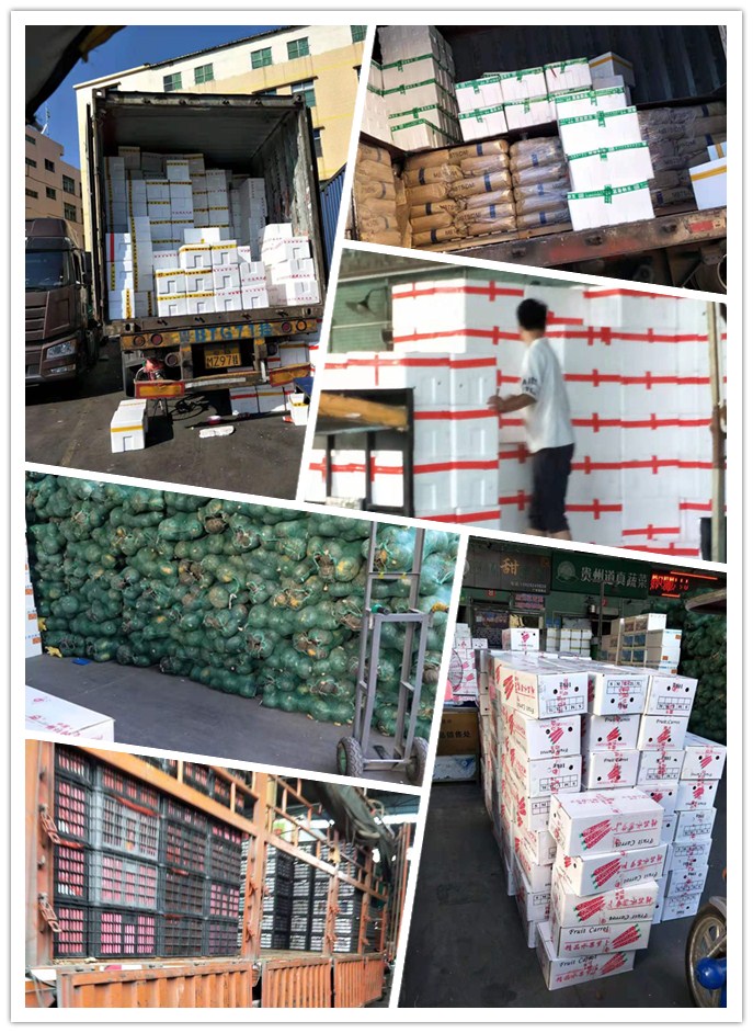 首页-PA真人集团有限公司官网