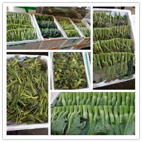 首页-PA真人集团有限公司官网