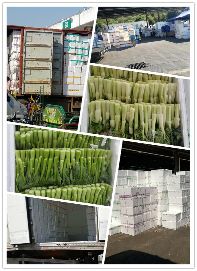 首页-PA真人集团有限公司官网