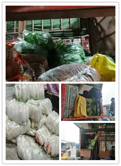 首页-PA真人集团有限公司官网