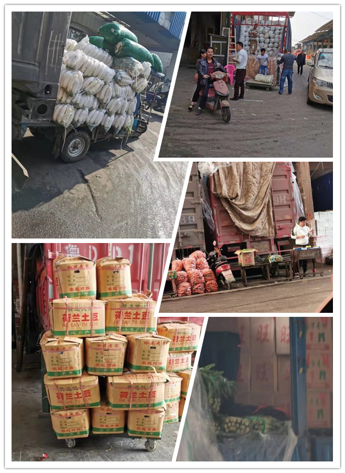 首页-PA真人集团有限公司官网