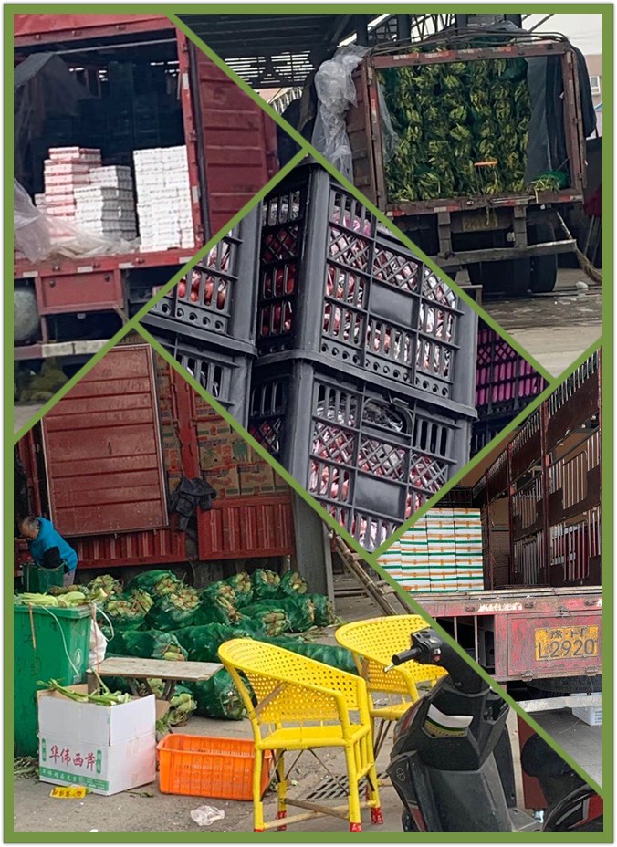 首页-PA真人集团有限公司官网