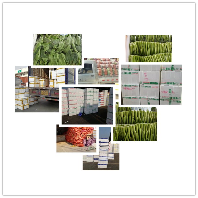 首页-PA真人集团有限公司官网