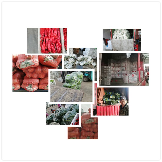 首页-PA真人集团有限公司官网