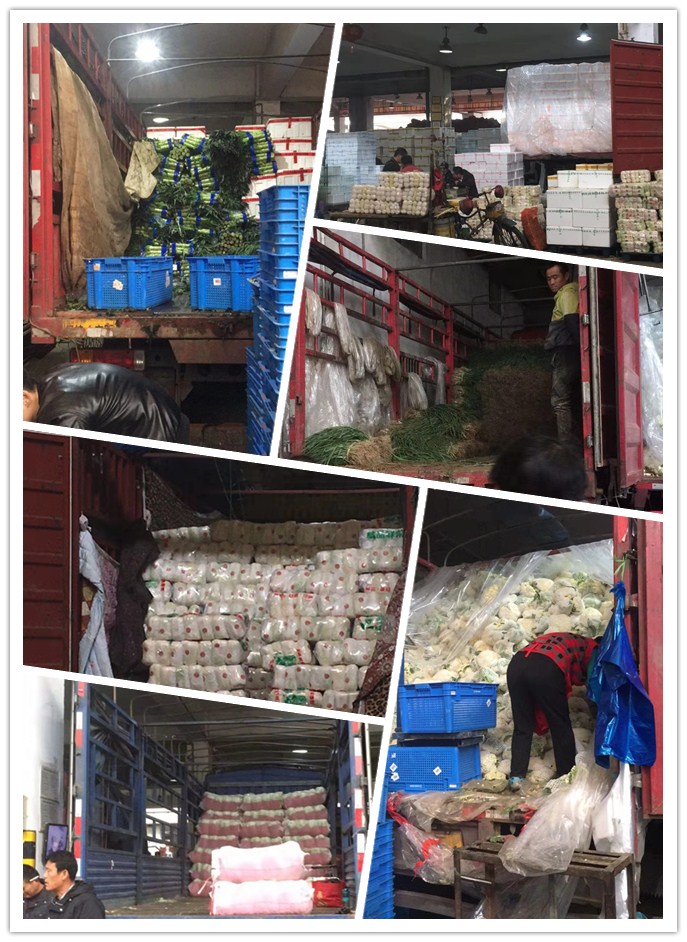 首页-PA真人集团有限公司官网