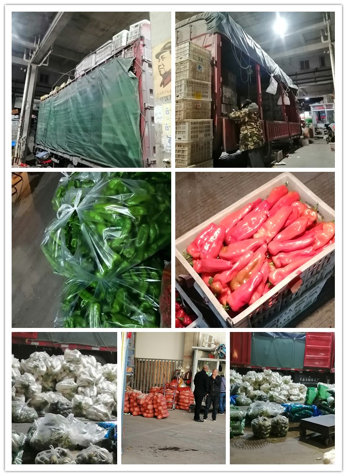 首页-PA真人集团有限公司官网