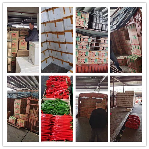 首页-PA真人集团有限公司官网