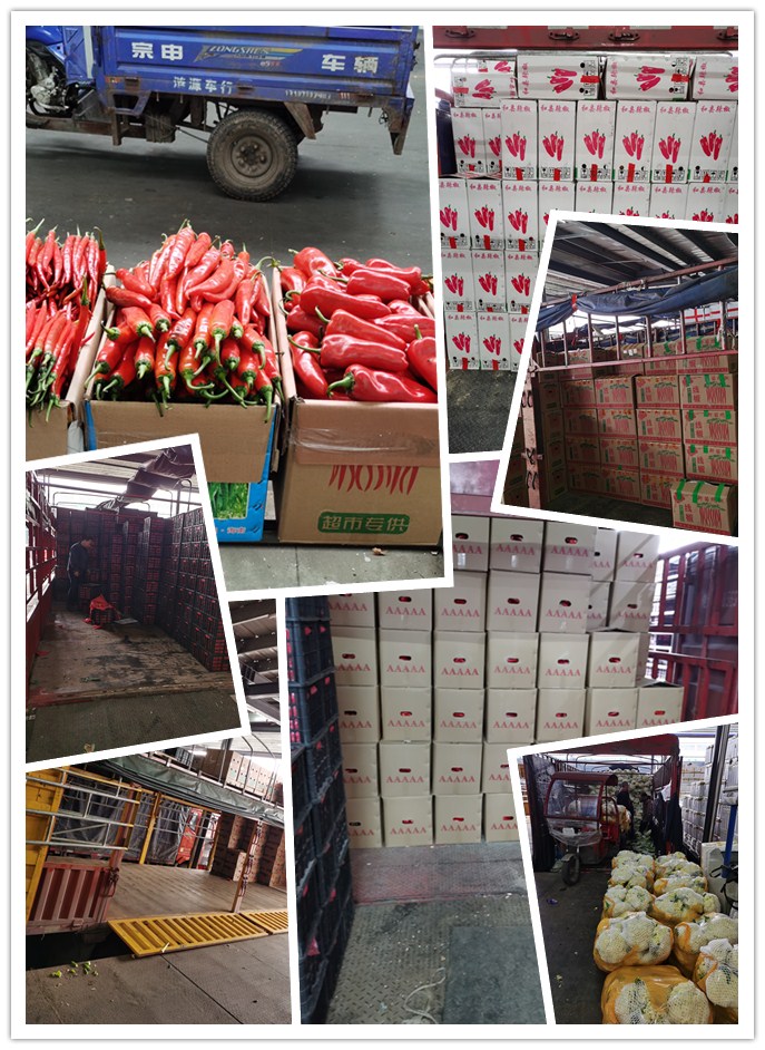 首页-PA真人集团有限公司官网