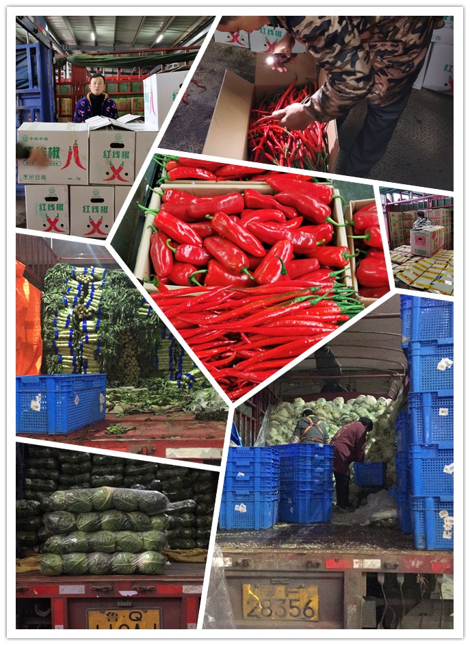 首页-PA真人集团有限公司官网