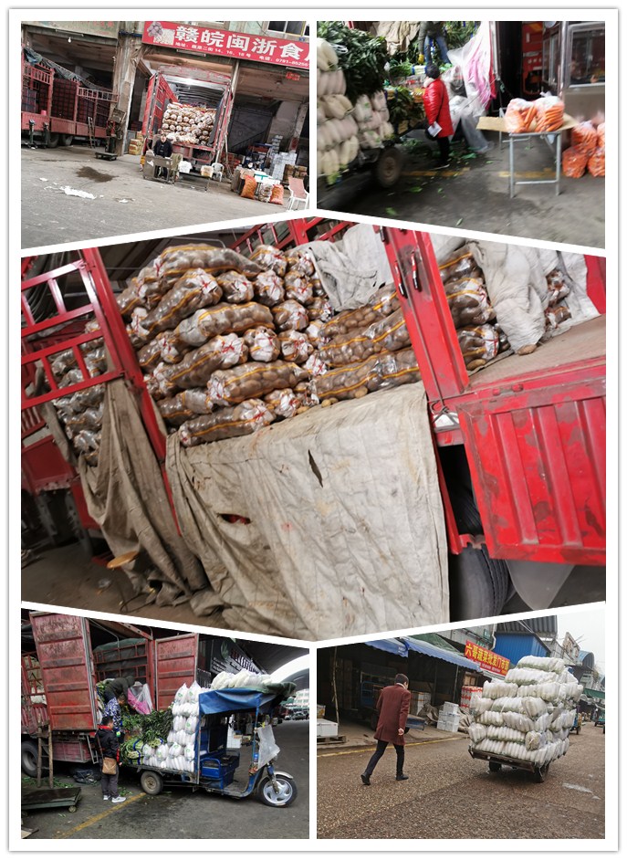 首页-PA真人集团有限公司官网