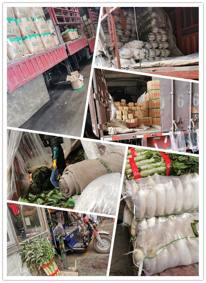 首页-PA真人集团有限公司官网