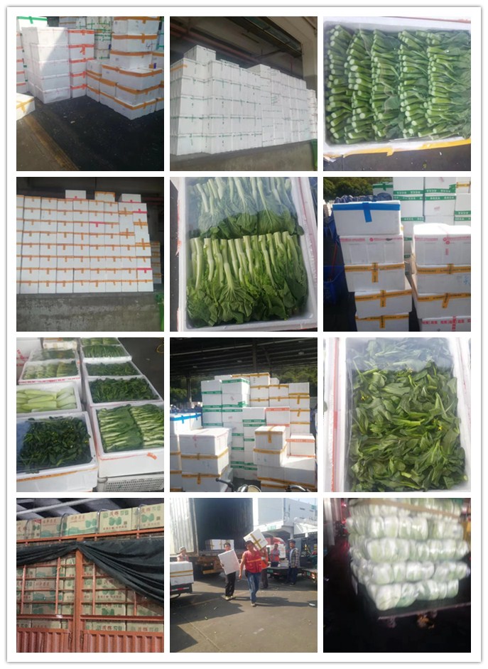 首页-PA真人集团有限公司官网