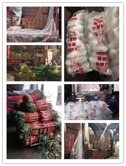 首页-PA真人集团有限公司官网