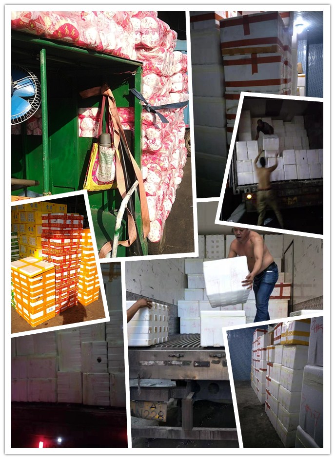 首页-PA真人集团有限公司官网