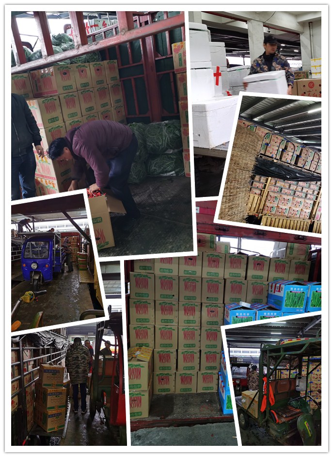 首页-PA真人集团有限公司官网