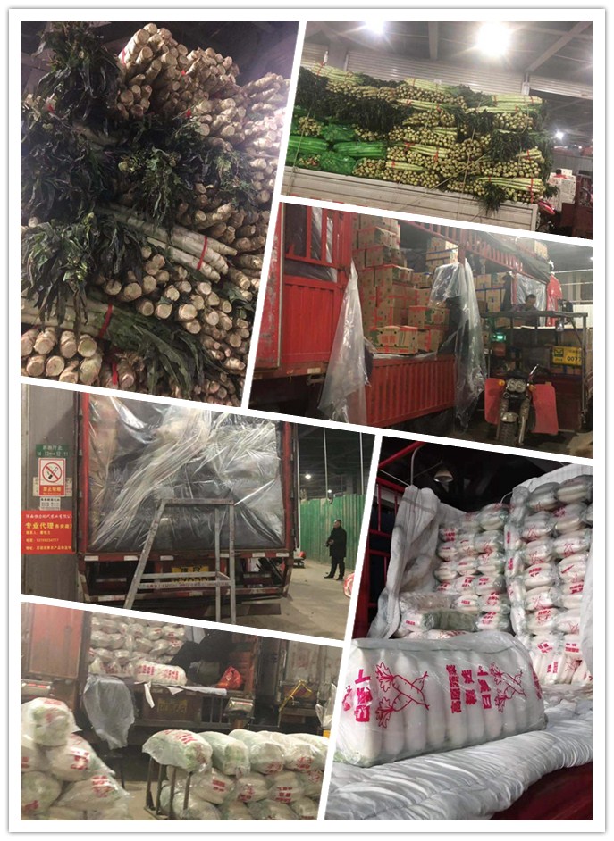 首页-PA真人集团有限公司官网