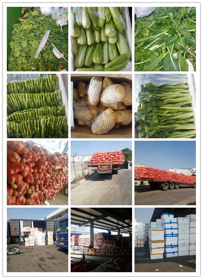 首页-PA真人集团有限公司官网