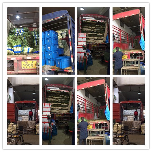 首页-PA真人集团有限公司官网