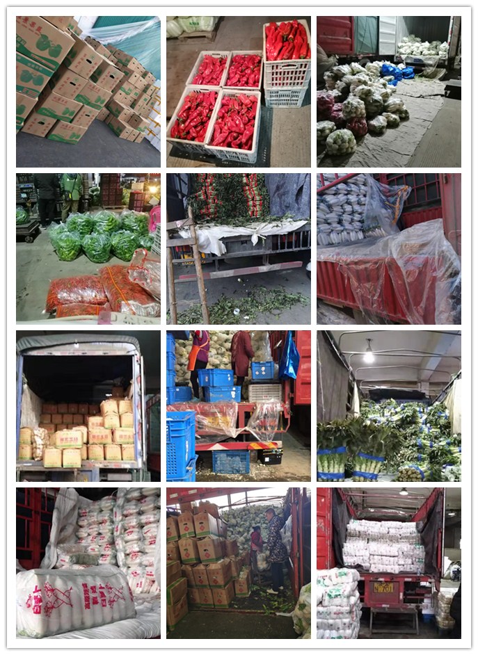 首页-PA真人集团有限公司官网