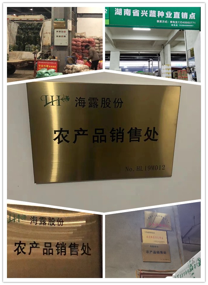 首页-PA真人集团有限公司官网