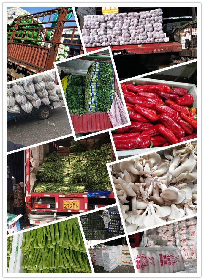 首页-PA真人集团有限公司官网