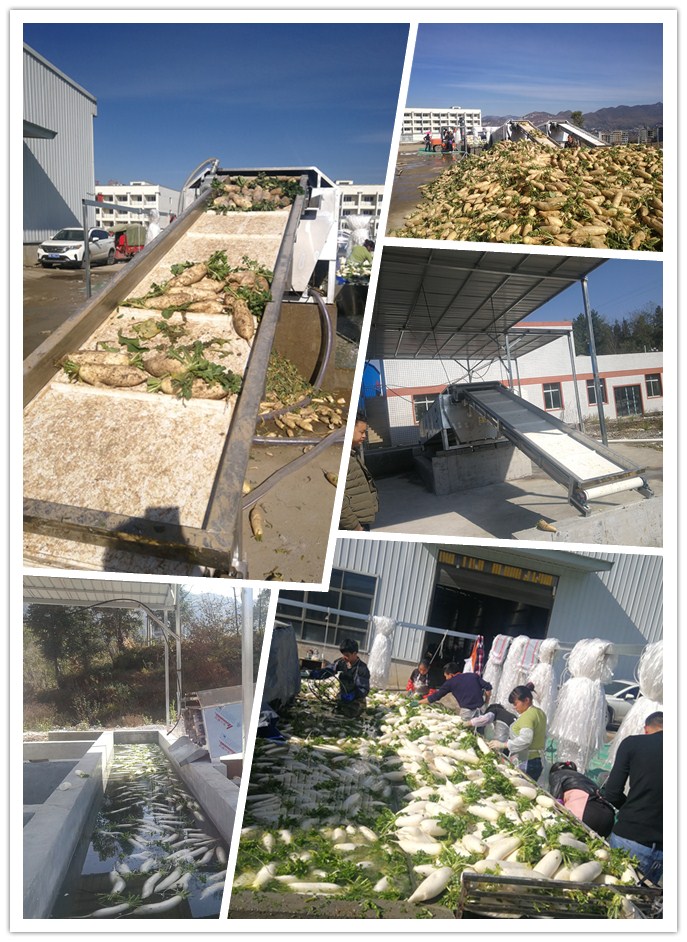 首页-PA真人集团有限公司官网