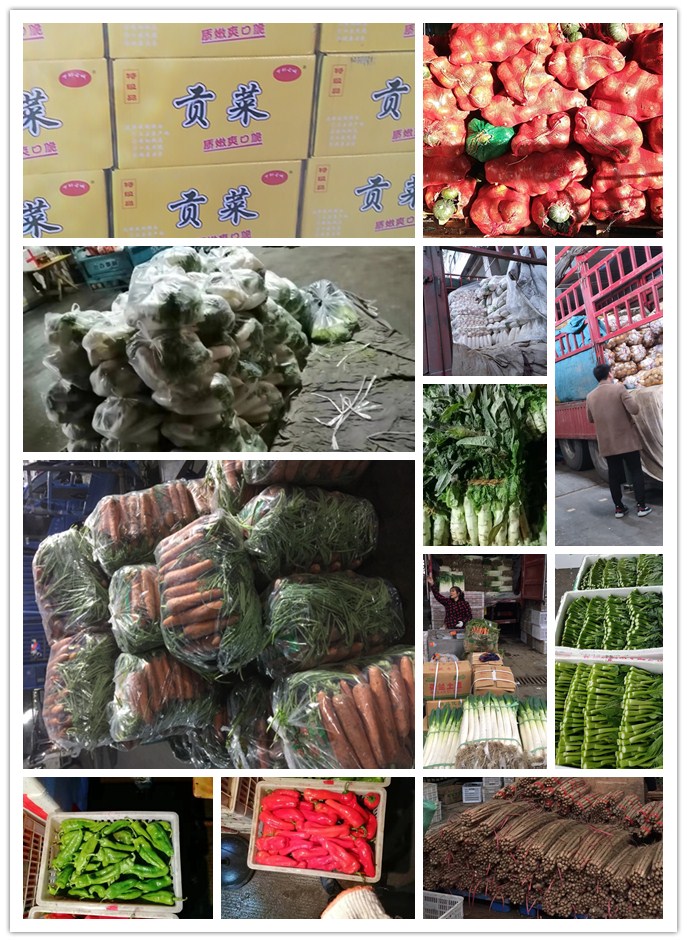 首页-PA真人集团有限公司官网