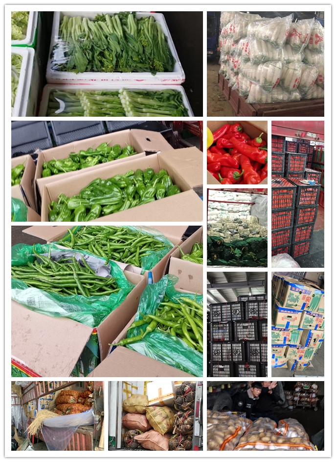 首页-PA真人集团有限公司官网