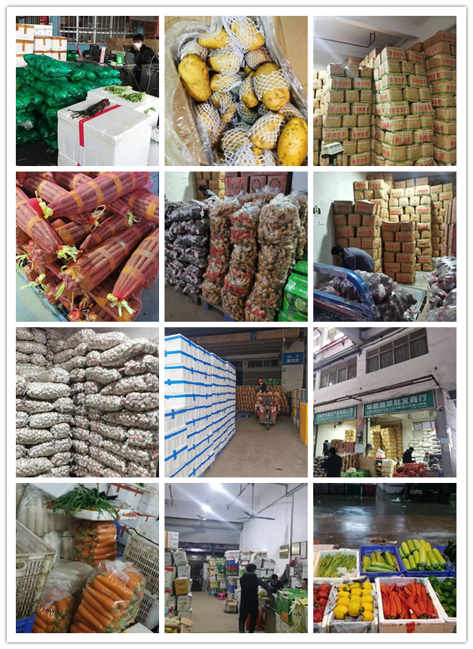 首页-PA真人集团有限公司官网