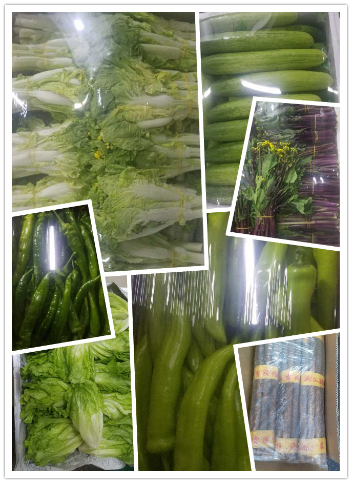 首页-PA真人集团有限公司官网