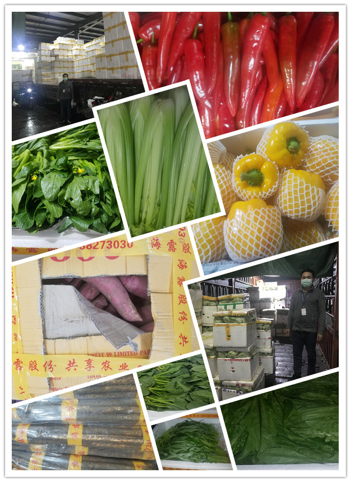 首页-PA真人集团有限公司官网