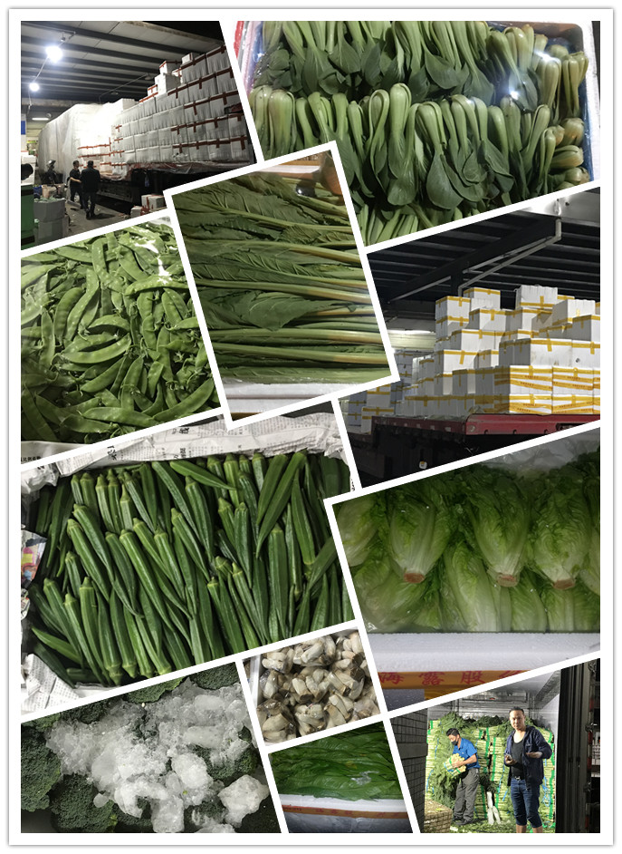 首页-PA真人集团有限公司官网