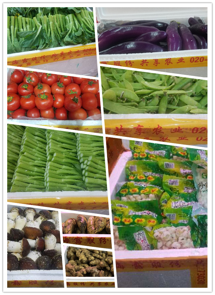 首页-PA真人集团有限公司官网