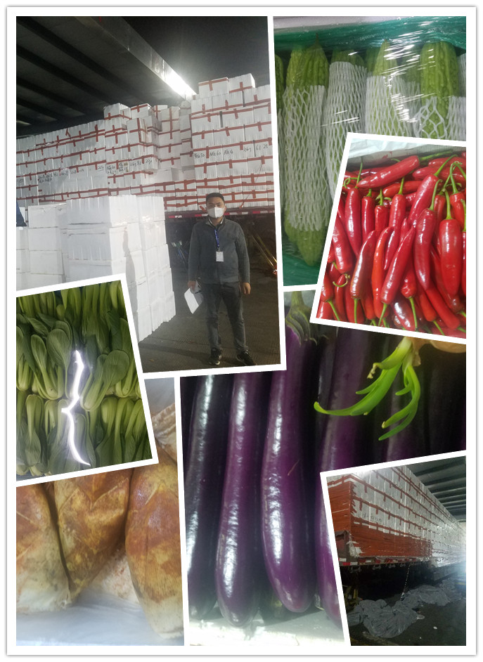 首页-PA真人集团有限公司官网