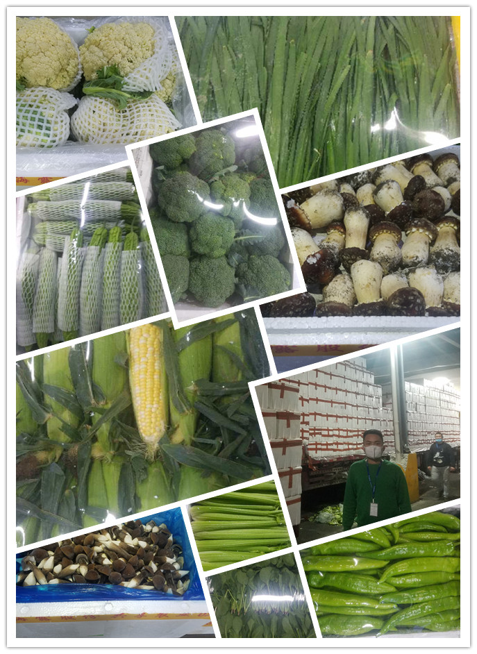 首页-PA真人集团有限公司官网