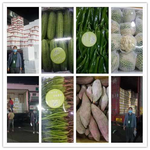 首页-PA真人集团有限公司官网